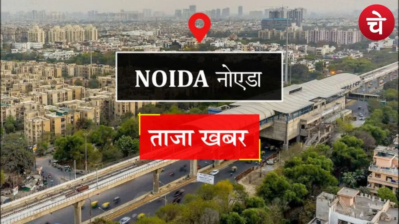 Noida police act on ganja trade