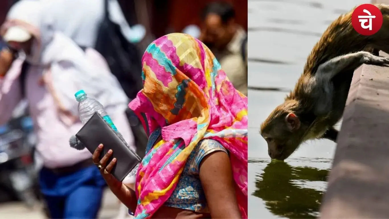 Extreme Heat