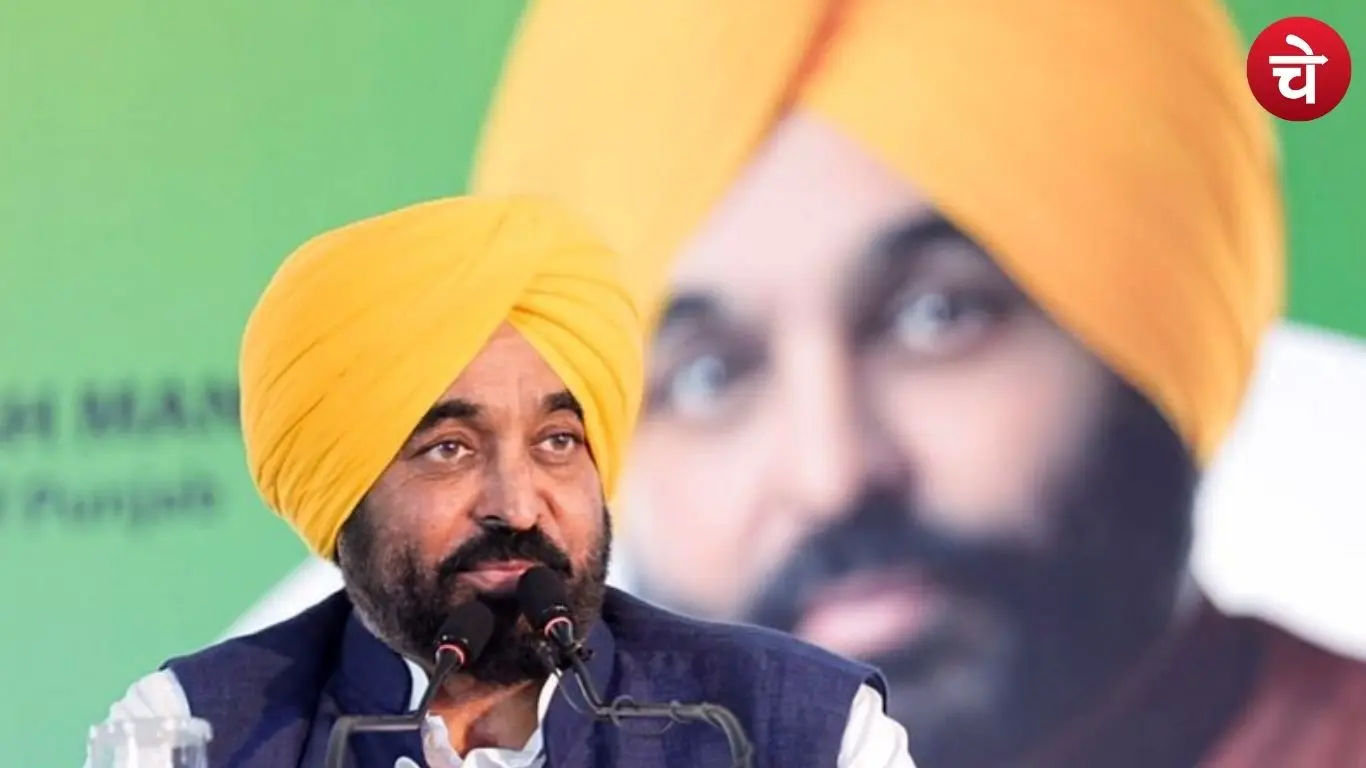 Punjab Civic Body Election Results