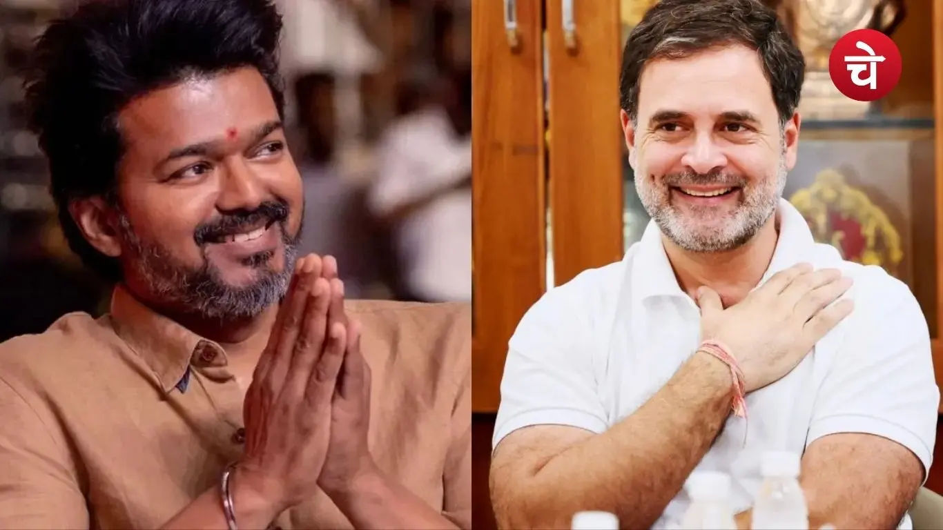 RAHUL VIJAY