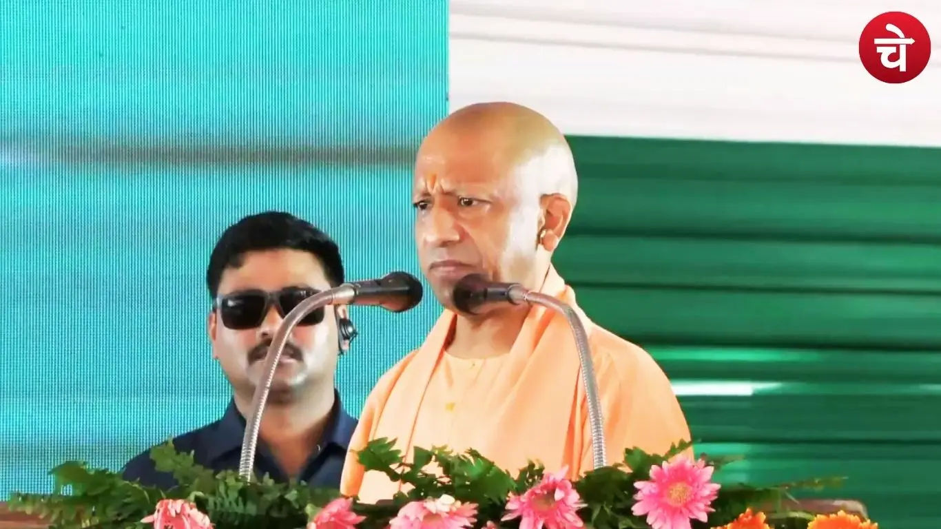 Yogi Yogi