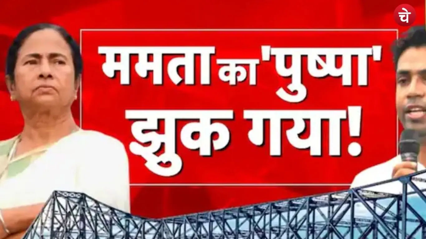 mamata (1)