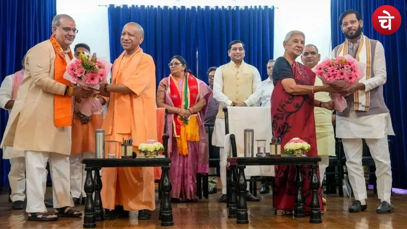 up Yogi Cabinet