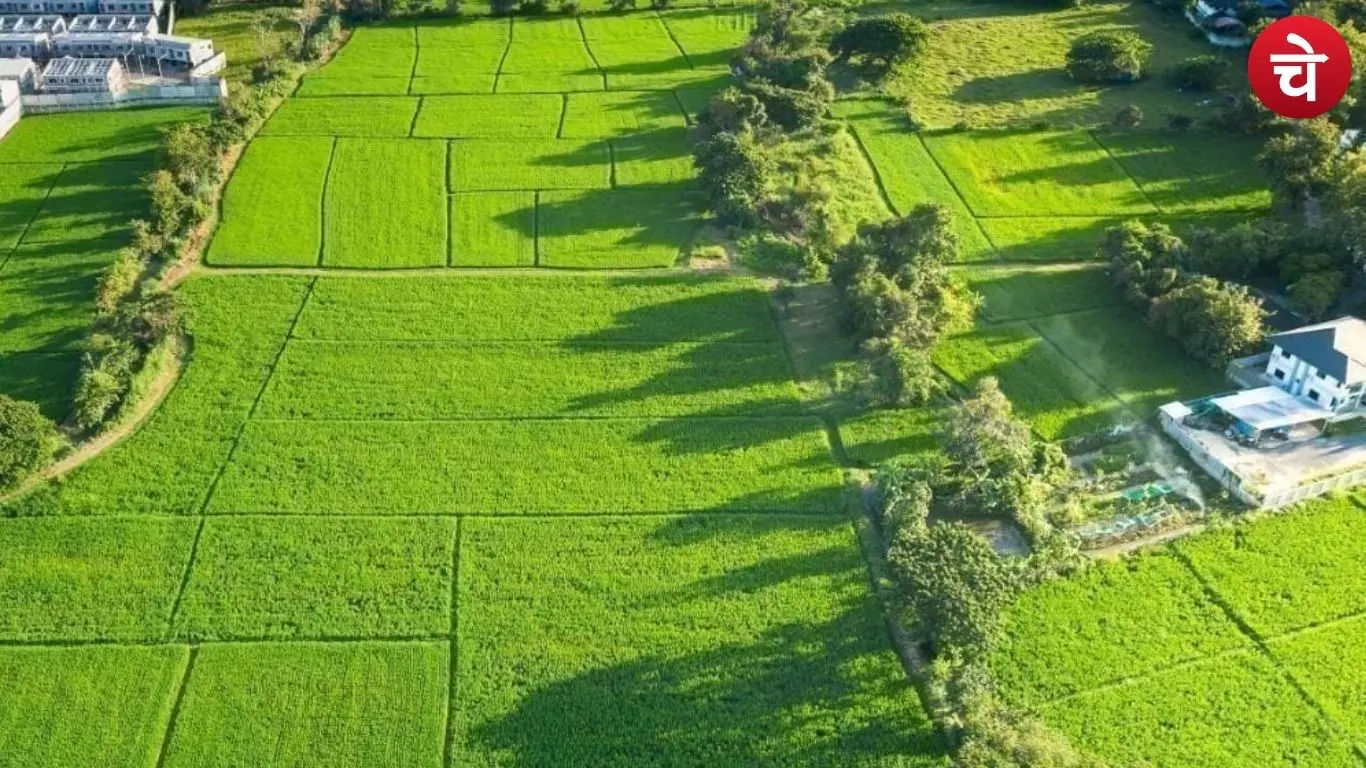 Bihar land rate