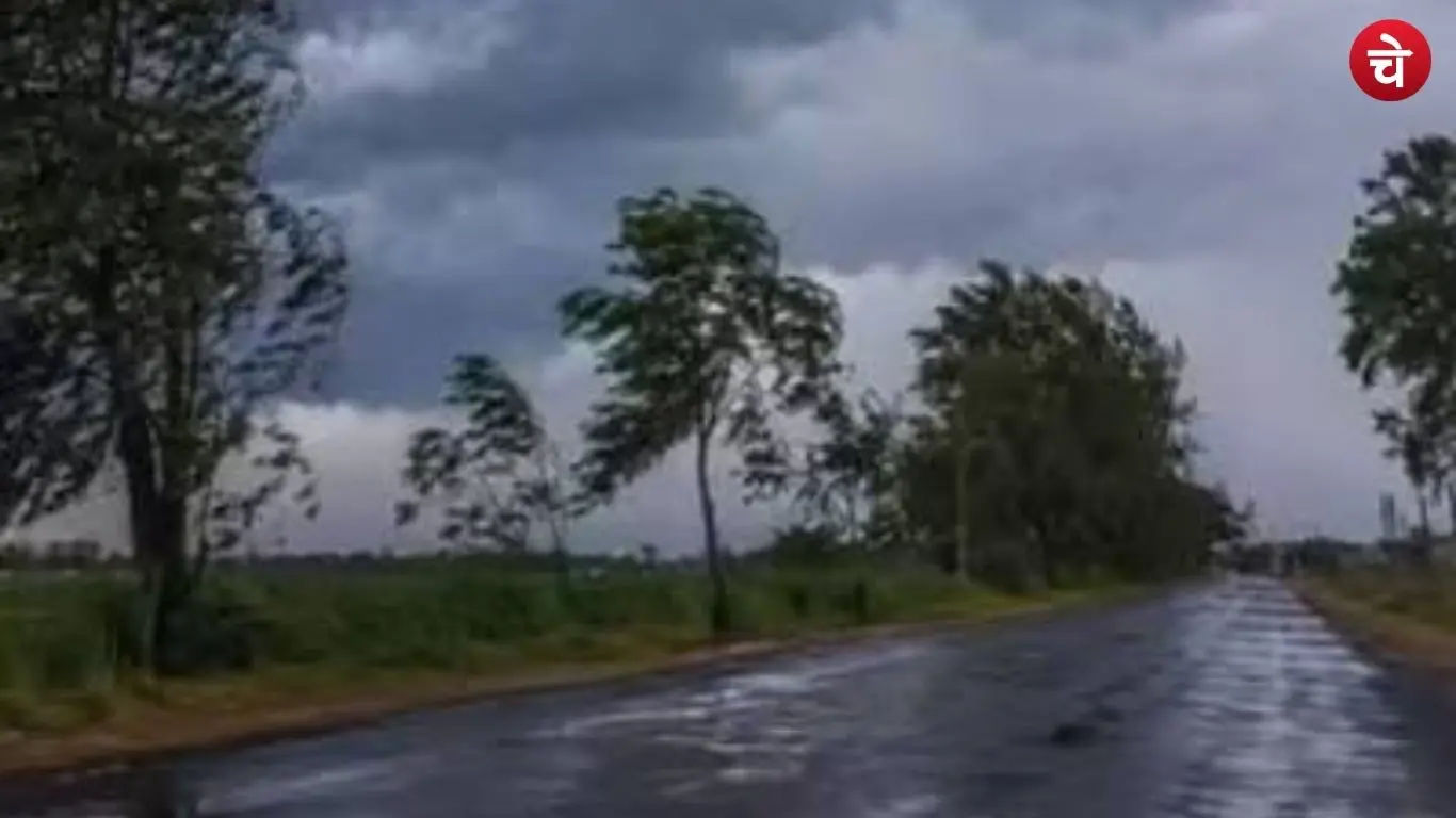 barish 1