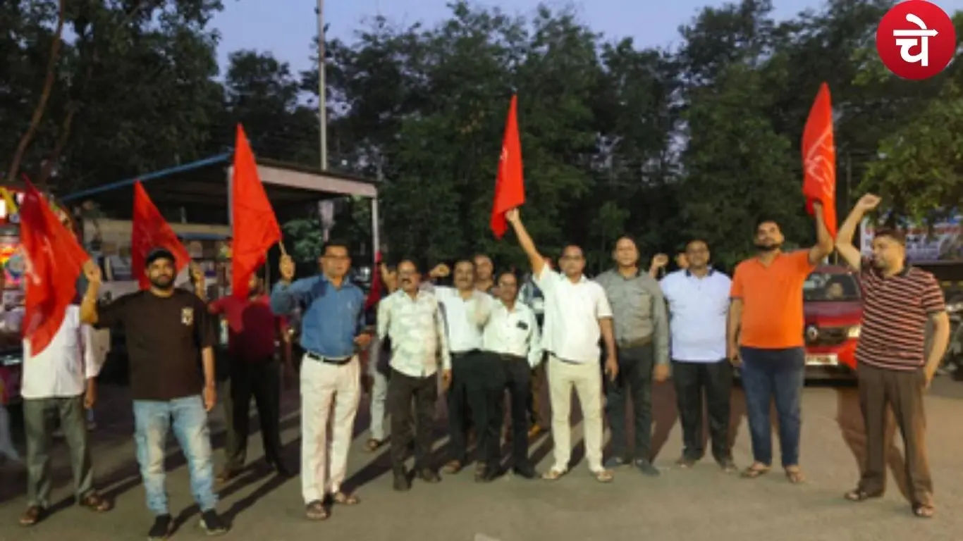 citu (1)