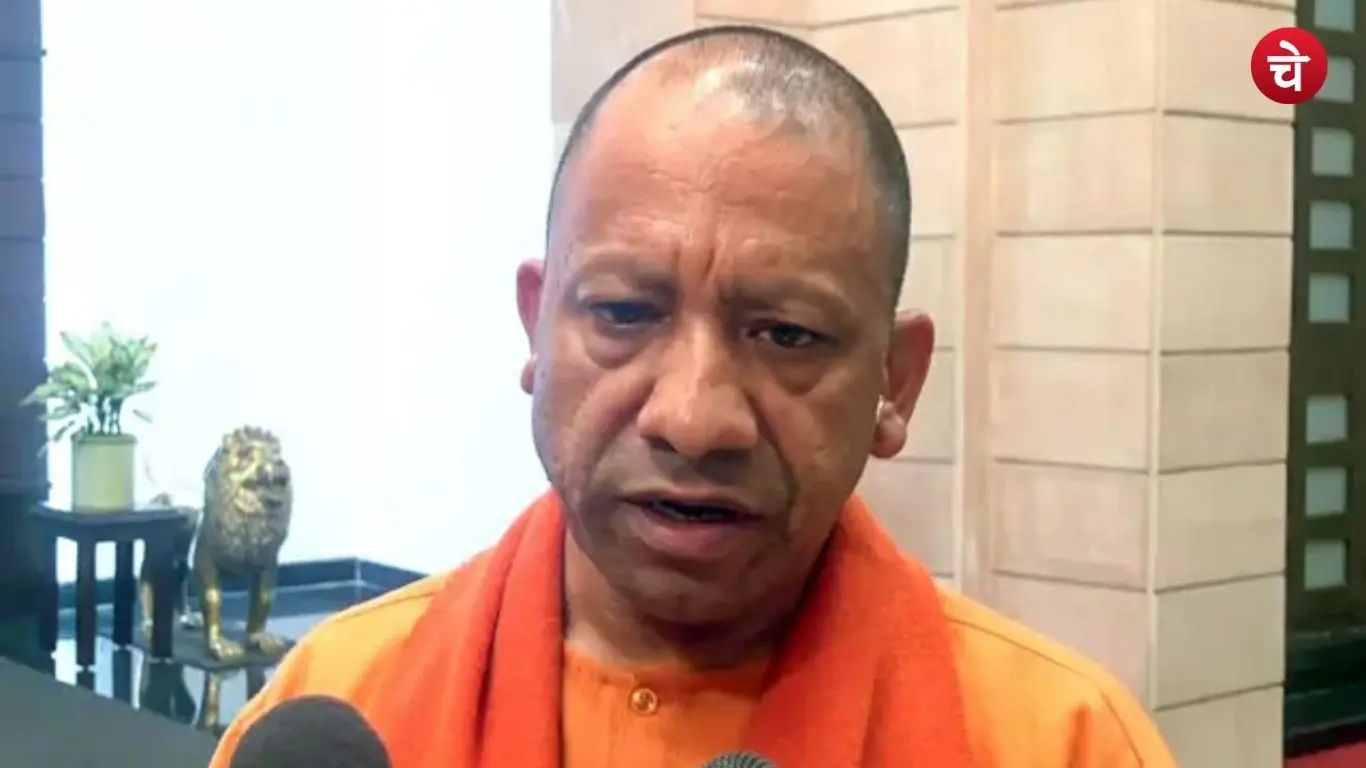 cm yogi (37)