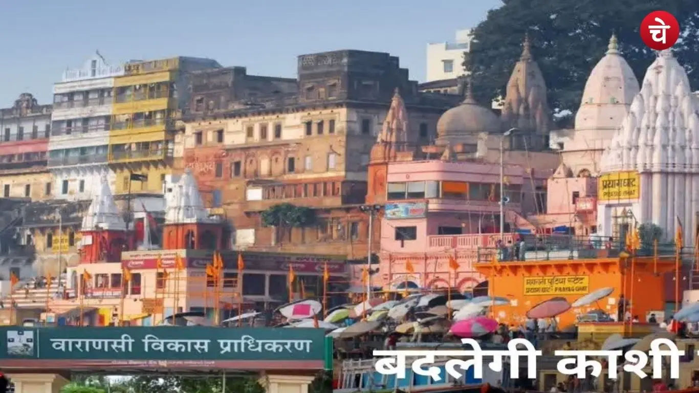kashi 1
