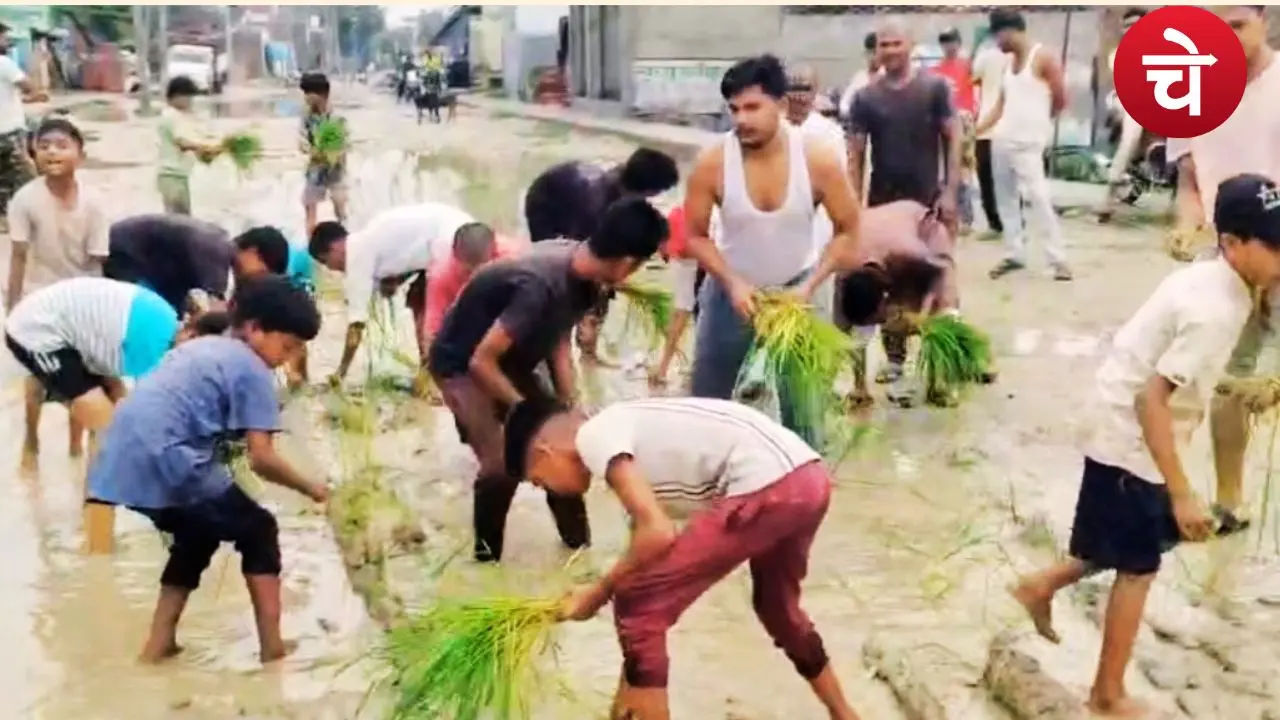 Farming on the road