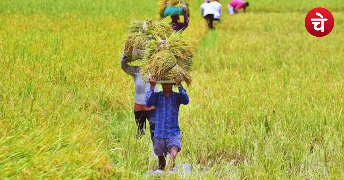 PM Kisan Samman Nidhi