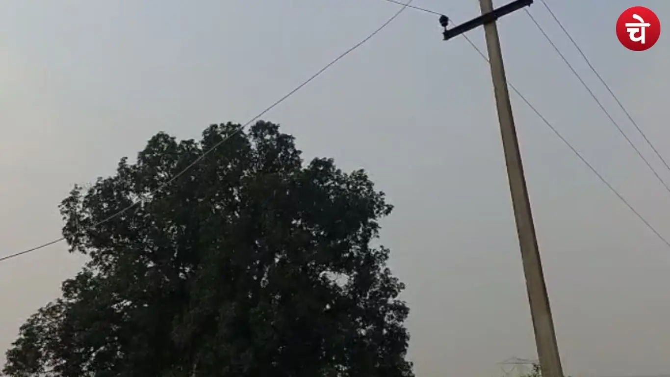Tragic accident