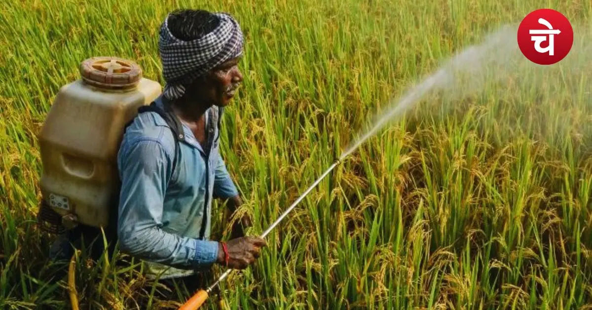 UP Farmer News