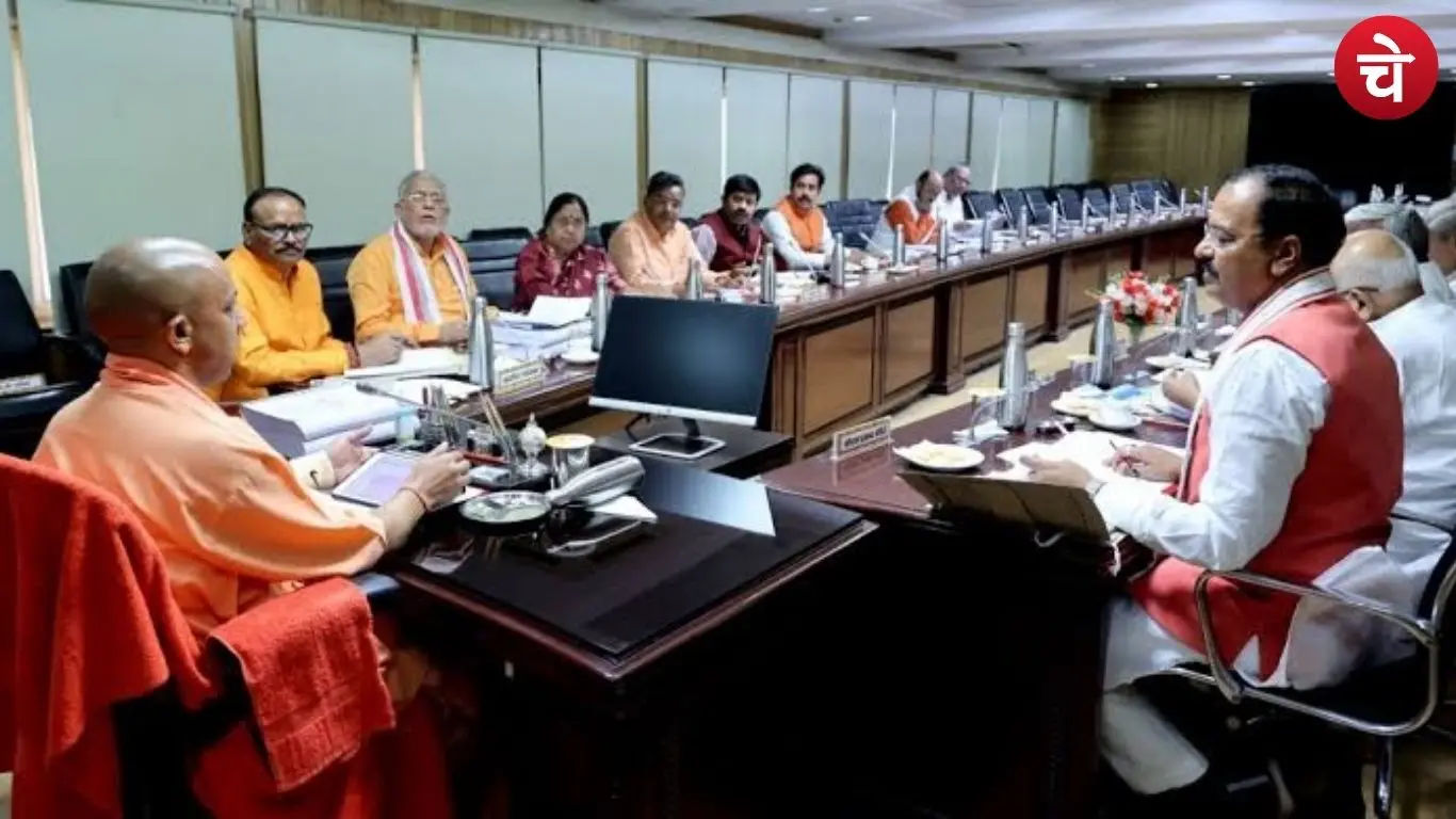 Yogi Cabinet