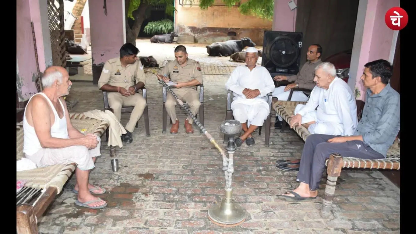 dgp (2)