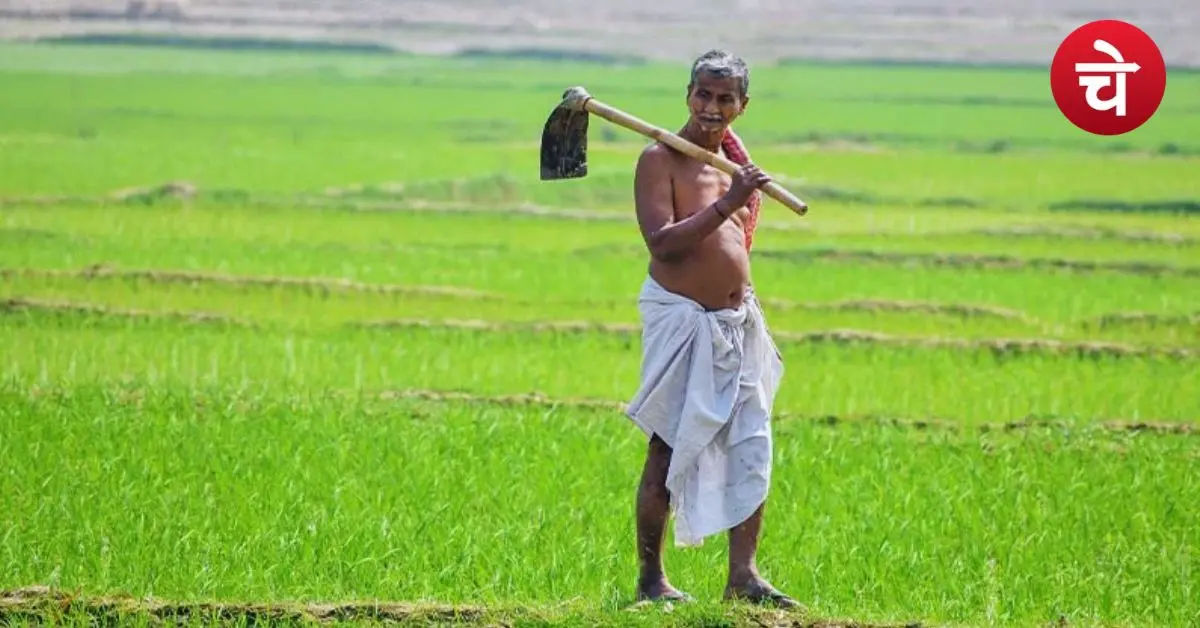 किसान ध्यान दें! PM Kisan की 24वीं किस्त को लेकर बड़ा अलर्ट, जल्दी करें चेक