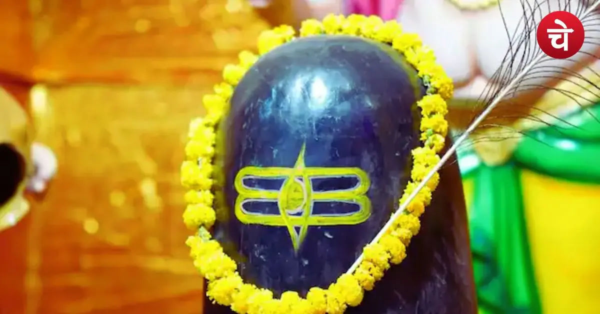Sawan 2026 Rudrabhishek