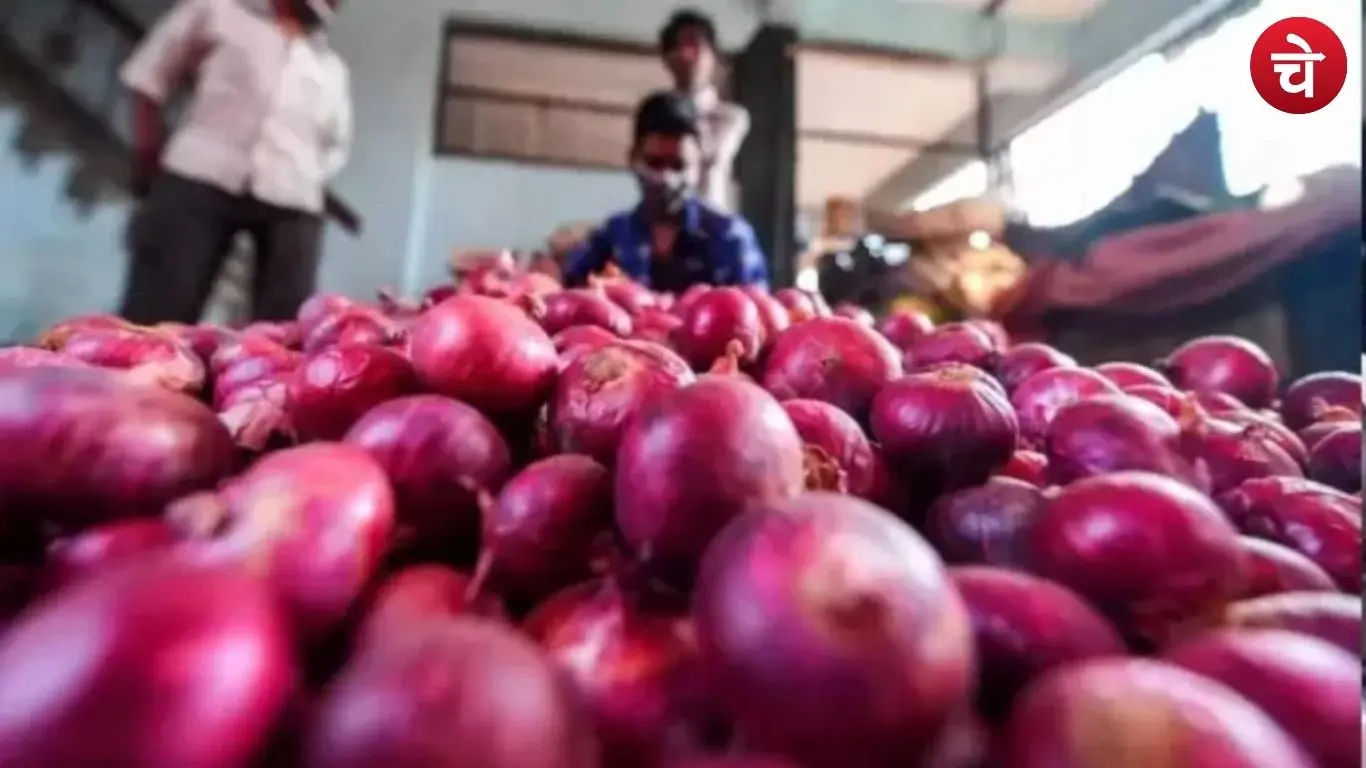 Government will start selling onions at 35 Rupees per kg in UP