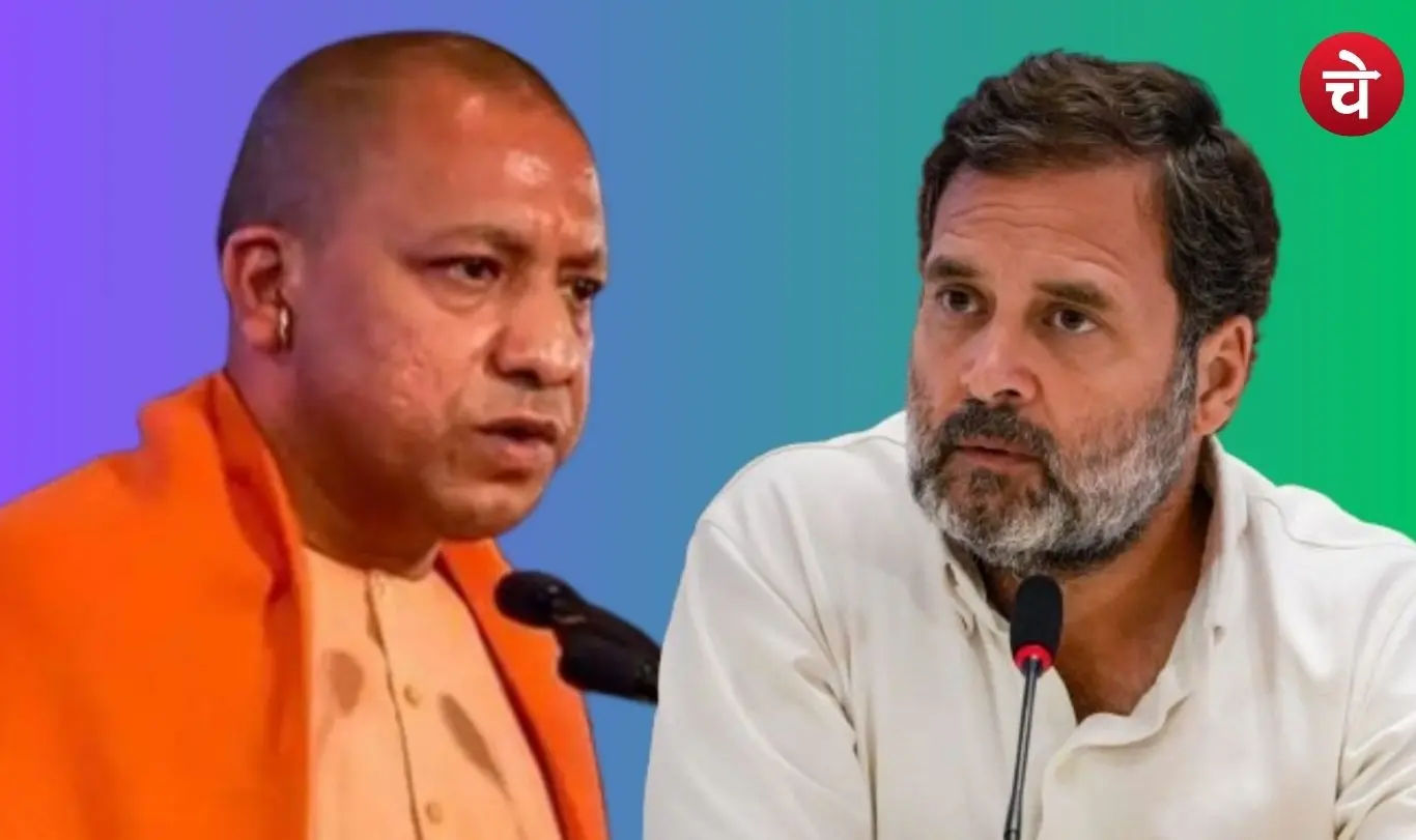 cM yogi