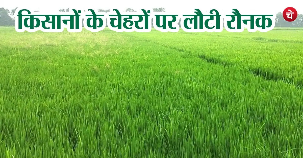 Farmer News