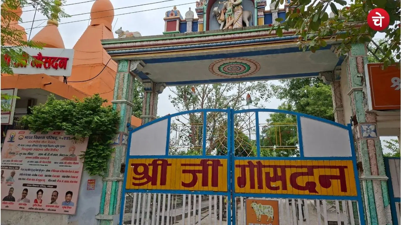 File photo of Gaushala Shri Ji Gosadan located in Sector 94 Noida